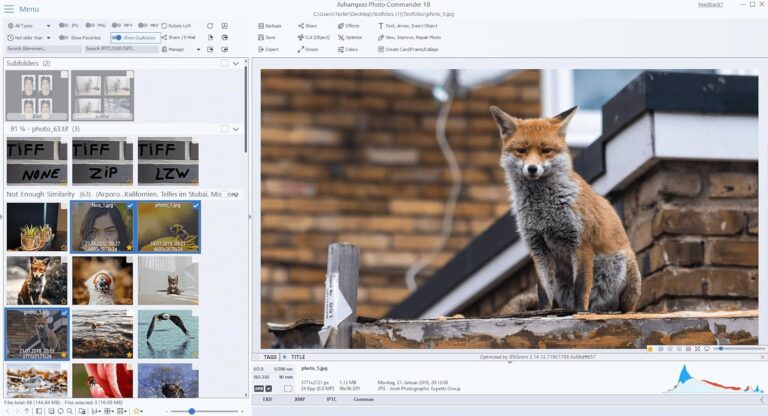 Read more about the article Photo Editing Software for Windows 11 Review