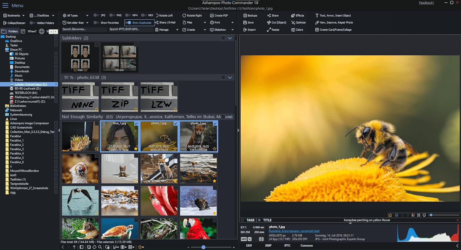 Read more about the article Photo Editing Software for Windows 11 Review