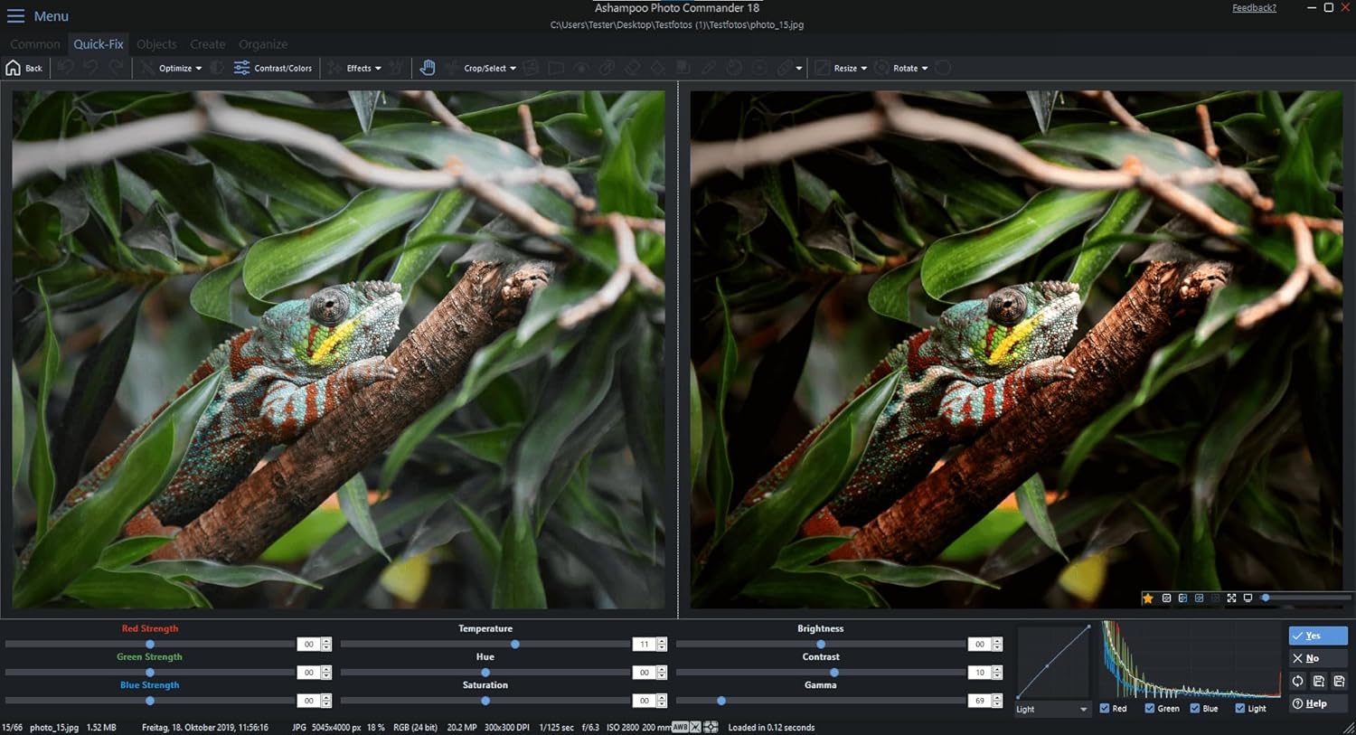 Read more about the article Photo Editing Software for Windows 11 Review