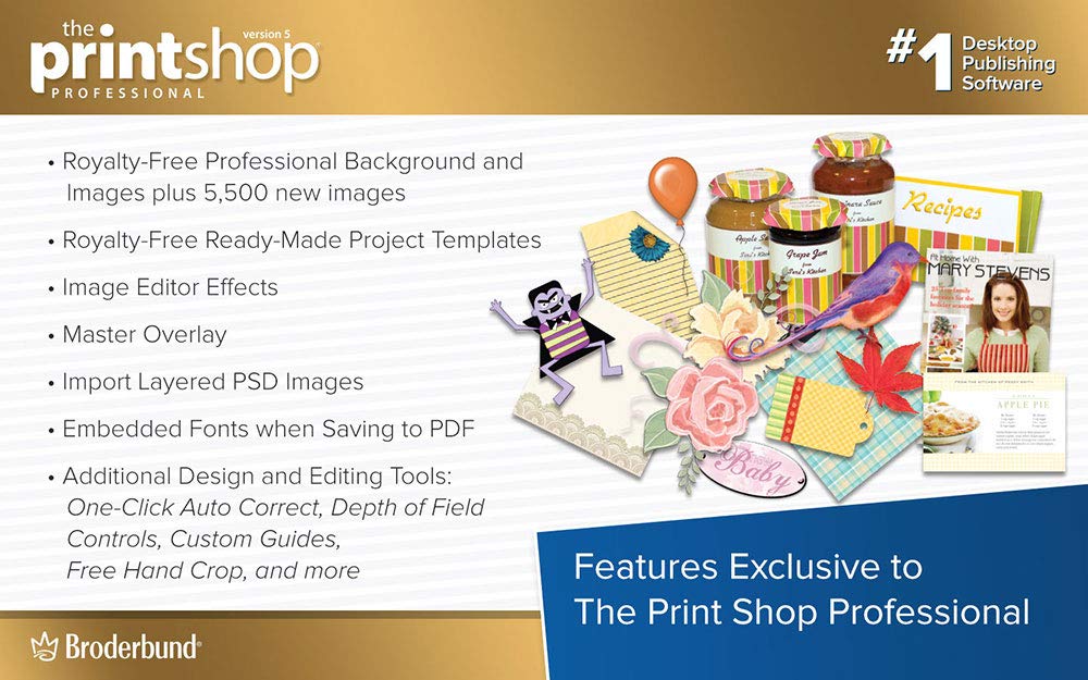 The Print Shop 5.0 Professional - Impressive Design Projects Made Easy [PC Download]